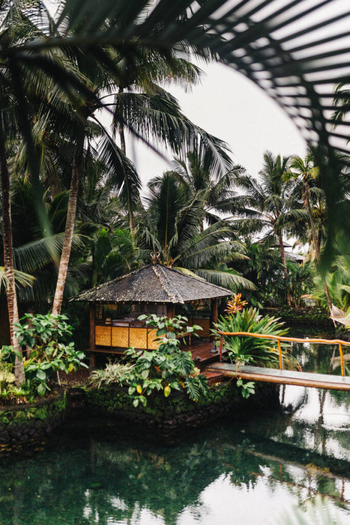 Mercedes Electric Revival Hopes Rest on Super-Efficient CLA Sedan